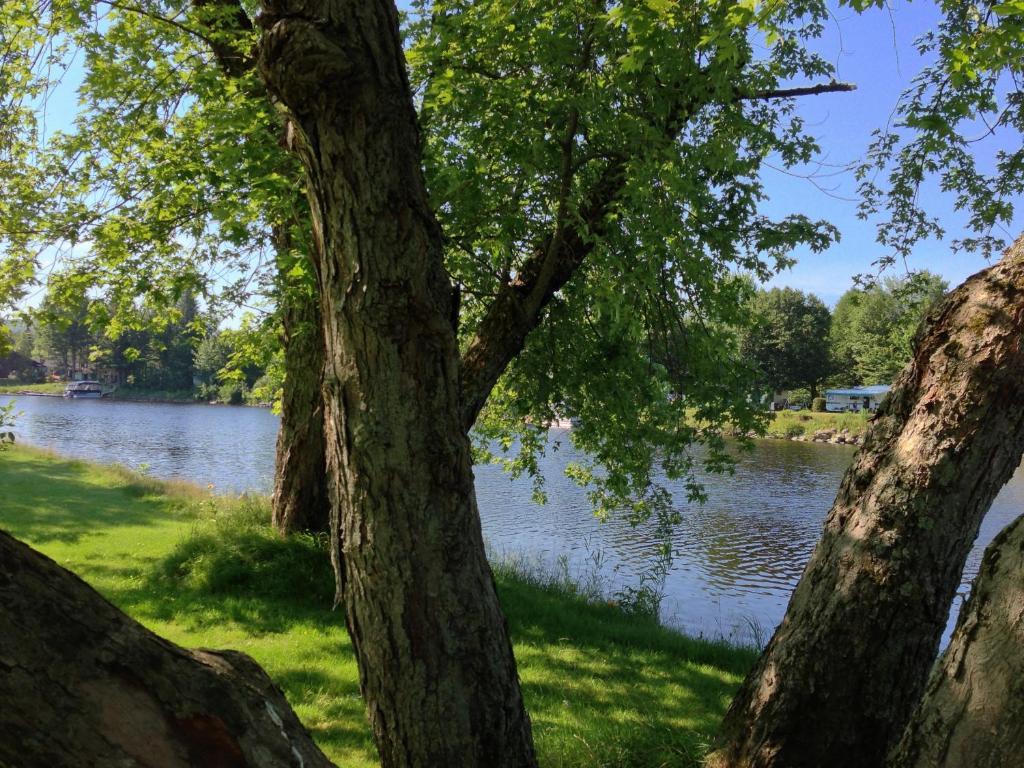 Le Reflet De La Riviere B&B Weedon-Centre 外观 照片